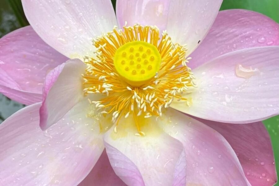 ¿Te diste cuenta que la mayoría de tus horas las pasas en automático???... pero sin entender porque pte asalta un malestar interior que no sabes muy bien de donde viene...